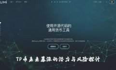 TP币未来暴涨的潜力与风险